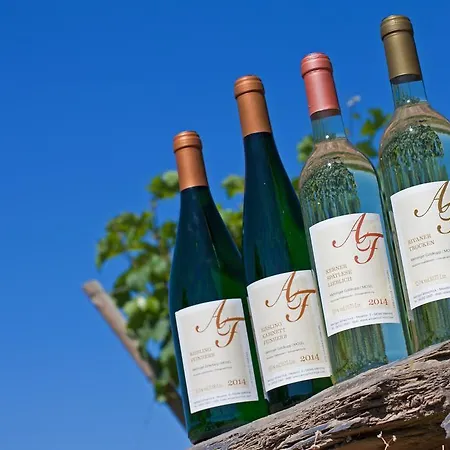 Gaestehaus Alfred Und Brunhilde Frick Mehring (Rhineland-Palatinate)