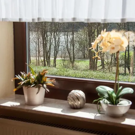 Appartement Gaestehaus Alfred Und Brunhilde Frick