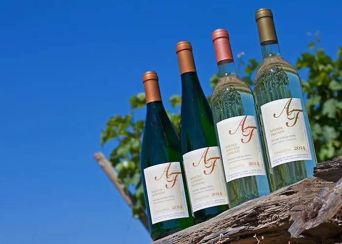 Gaestehaus Alfred Und Brunhilde Frick Mehring (Rhineland-Palatinate)